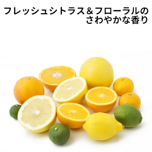 ナチュラルマインド リンス_(コンディショナー)｜オリーブ化粧品の日本