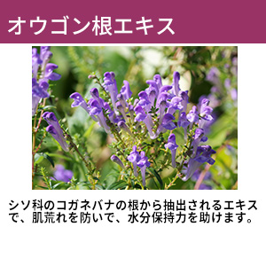 邨NWON[