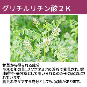 うるおいカラミンローション