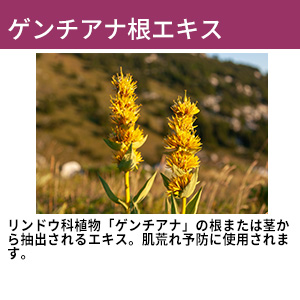 オリーブマノン うるおいトリートメントクリーム 保湿 効果