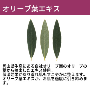 オリーブマノン 薬用 ホワイトニングローション 美白化粧水 保湿 オリーブ化粧品の日本オリーブ公式通販