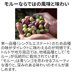 エキストラバージンオリーブオイルトルトサ 450g 1本箱入（スペイン