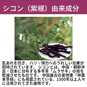 オリーブマノン ラグラシアオイル 基礎化粧品 日本オリーブ