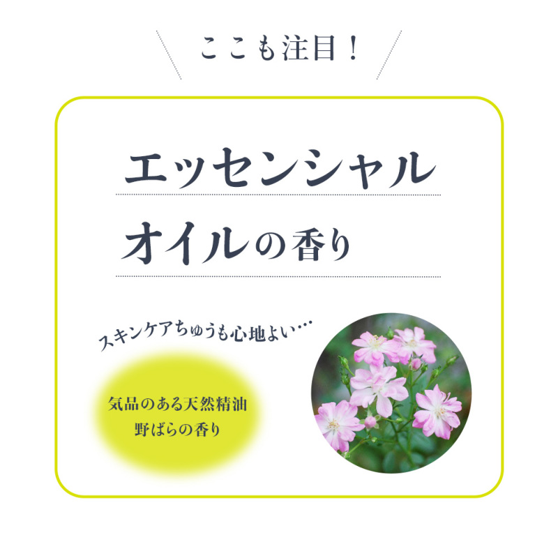 オリーブマノン エスペランサ エマルシオン_送料無料｜オリーブ化粧品