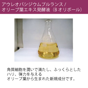 オリーブマノン レジュミエント クリーム_送料無料｜オリーブ化粧品の日本オリーブ公式通販